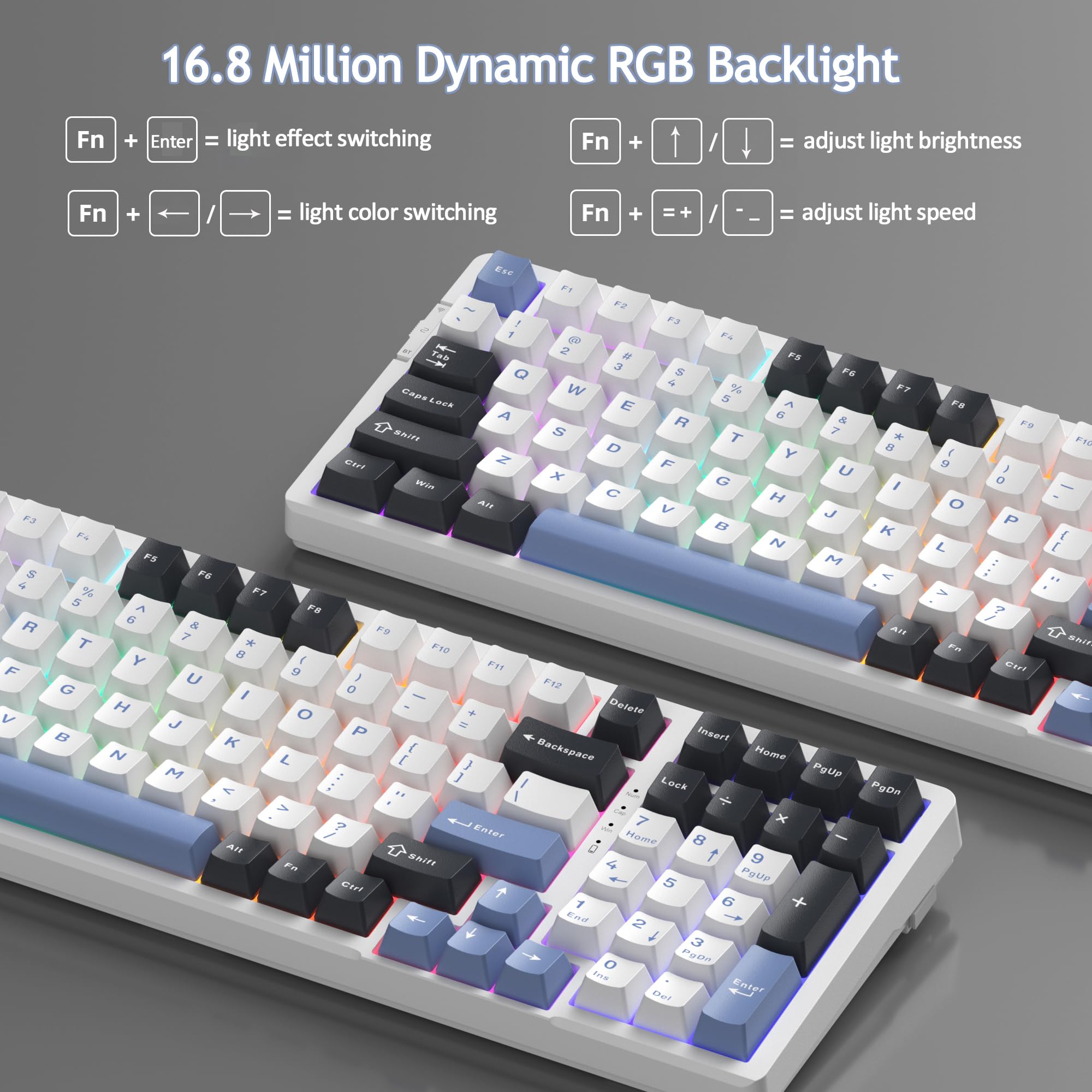 #Color_Black Blue / Ivory White Switches