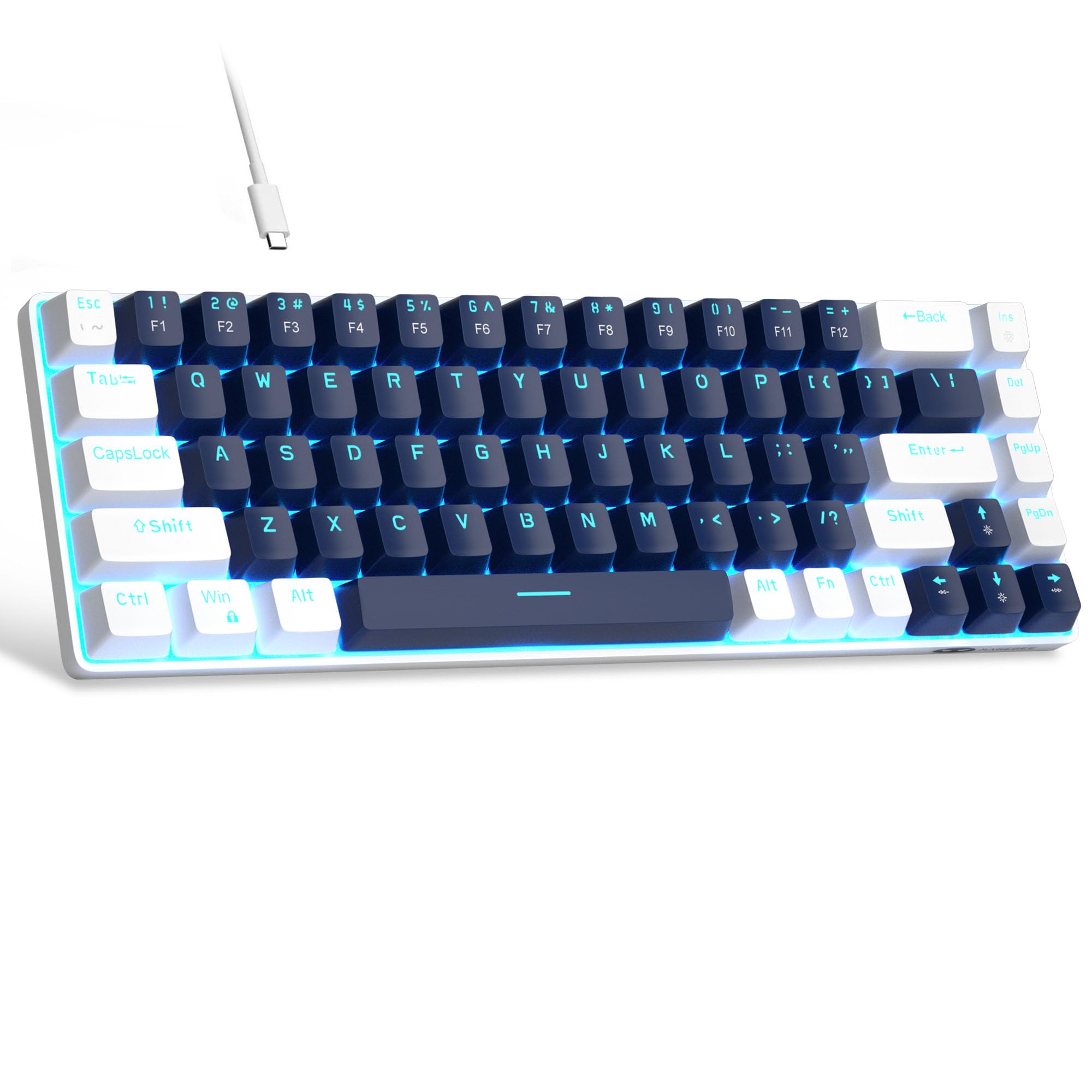 #Color_Blue / Blue Switches