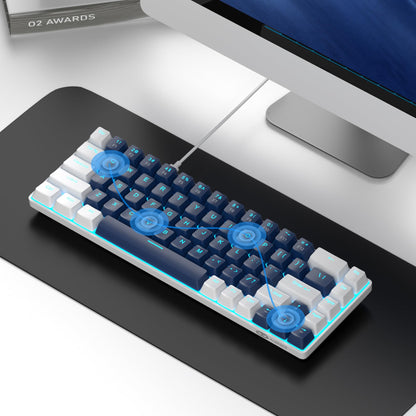 #Color_Blue / Blue Switches