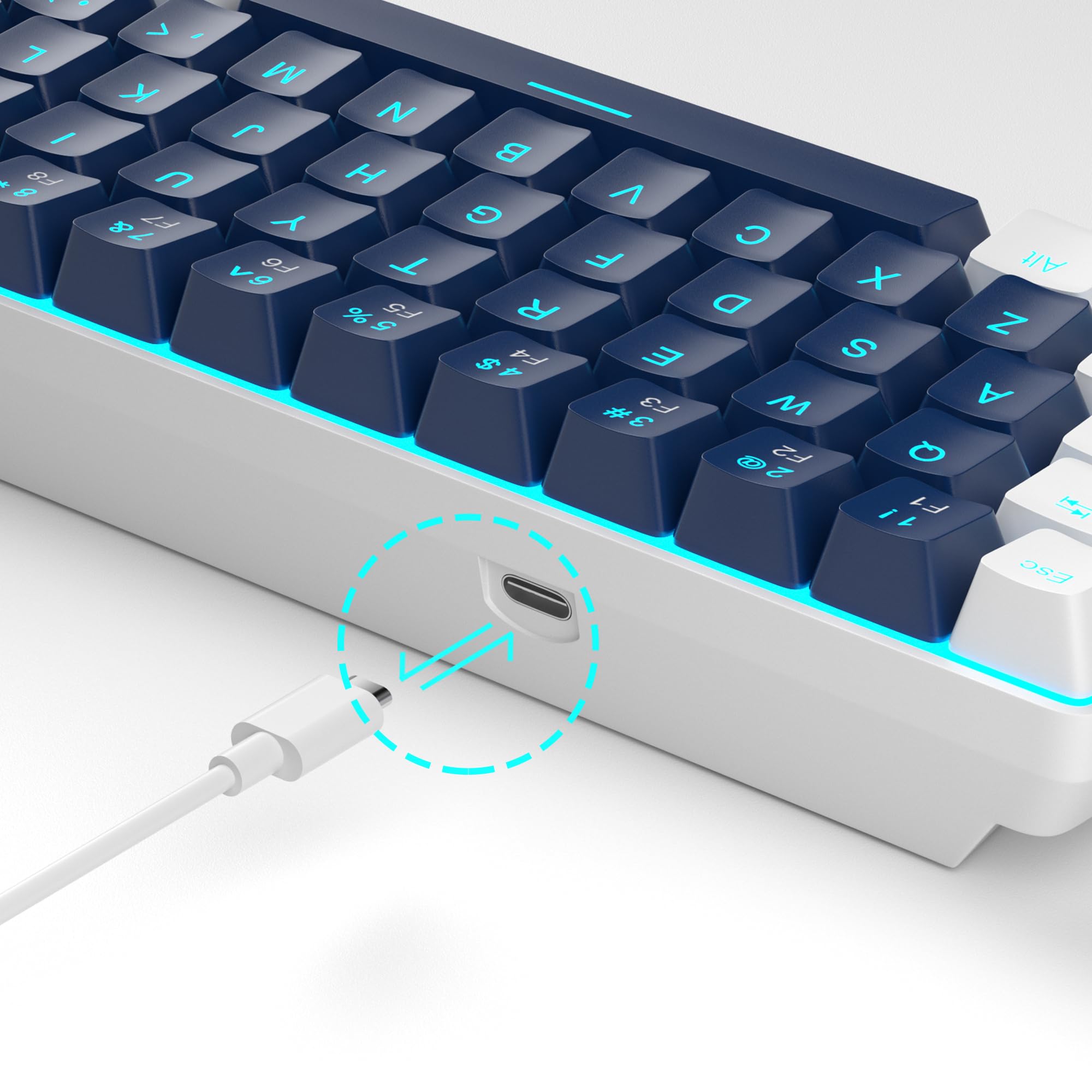 #Color_Blue / Blue Switches