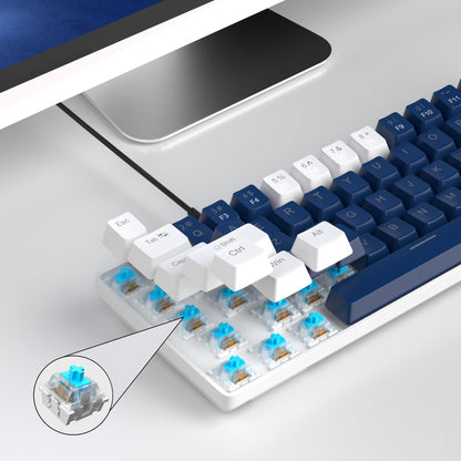 #Color_Blue / Blue Switches