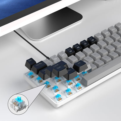 #Color_Grey / Blue Switches