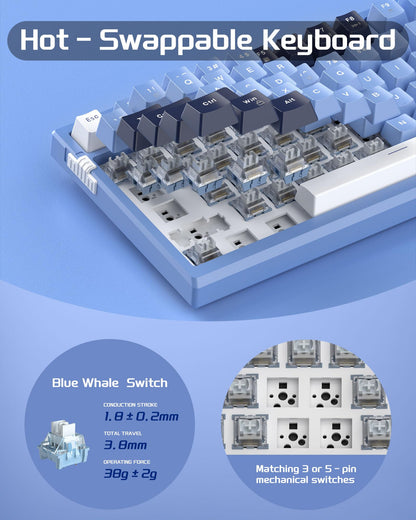 #Color_Prussian Blue / Blue Whale Switches