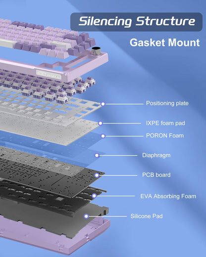 #Color_Violet / Violet Switches