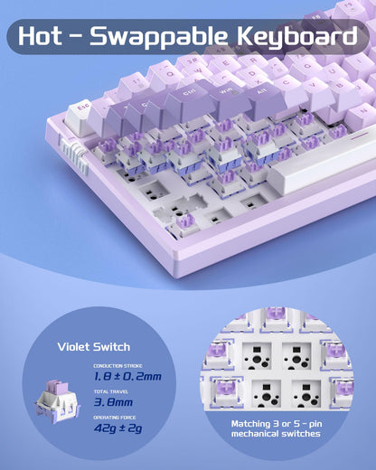 #Color_Violet / Violet Switches