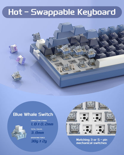 #Color_Prussian Blue / Blue Whale Switches