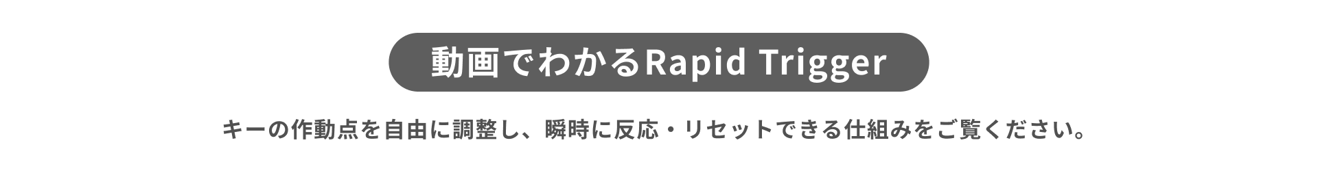 MageGee Japan